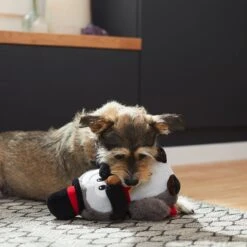 Frisco Magic Owl Plush Squeaky Dog Toy -Chewy 265596 PT3. AC SS1800 V1623352167