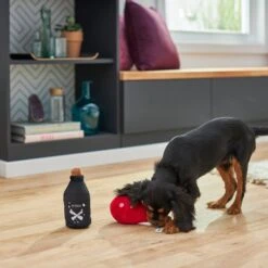 Frisco Magic Potions Plush Squeaky Dog Toy -Chewy 265618 PT3. AC SS1800 V1620939183