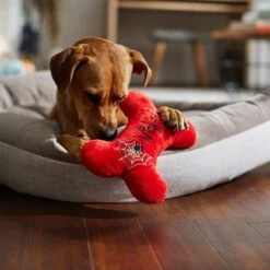 Frisco Halloween Wicked Cute Bone Reversible Plush Squeaky Dog Toy -Chewy 270357 PT3. AC SS1800 V1624817551