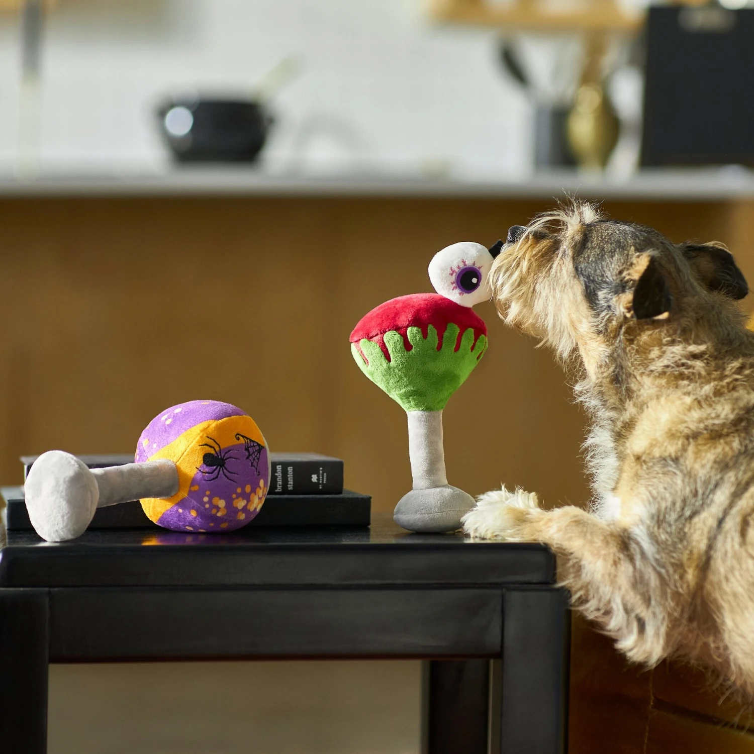 Frisco Halloween Cocktail Plush Squeaky Dog Toy 5 Frisco Halloween Cocktail Plush Squeaky Dog Toy - Image 3