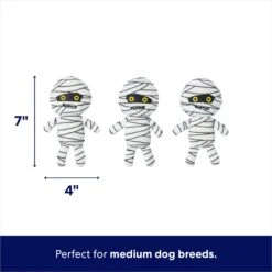 Frisco Halloween Mummy & Coffin Hide & Seek Puzzle Plush Squeaky Dog Toy -Chewy 270365 PT2. AC SS1800 V1689872932