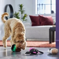 Frisco Halloween Cupcakes Plush Squeaky Dog Toy 9 Frisco Halloween Cupcakes Plush Squeaky Dog Toy -Chewy 270367 PT3. AC SS1800 V1624817674