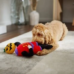 Frisco Halloween Headless Rider Plush Squeaky Dog Toy 9 Frisco Halloween Headless Rider Plush Squeaky Dog Toy -Chewy 270375 PT3. AC SS1800 V1624817181