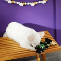 Frisco Halloween Good Witch, Bad Witch Reversible Plush Squeaky Dog Toy 11 Frisco Halloween Good Witch, Bad Witch Reversible Plush Squeaky Dog Toy -Chewy 270429 PT3. AC SS1800 V1624817643