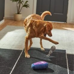 Frisco Halloween Mummy & Coffin Plush Squeaky Dog Toy -Chewy 270437 PT3. AC SS1800 V1624817278