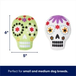 Frisco Halloween Day Of The Dead Sugar Skull Plush Squeaky Dog Toy, 2 Count 8 Frisco Halloween Day Of The Dead Sugar Skull Plush Squeaky Dog Toy, 2 Count -Chewy 270443 PT1. AC SS1800 V1689877622