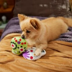 Frisco Halloween Day Of The Dead Sugar Skull Plush Squeaky Dog Toy, 2 Count 9 Frisco Halloween Day Of The Dead Sugar Skull Plush Squeaky Dog Toy, 2 Count -Chewy 270443 PT3. AC SS1800 V1624824826