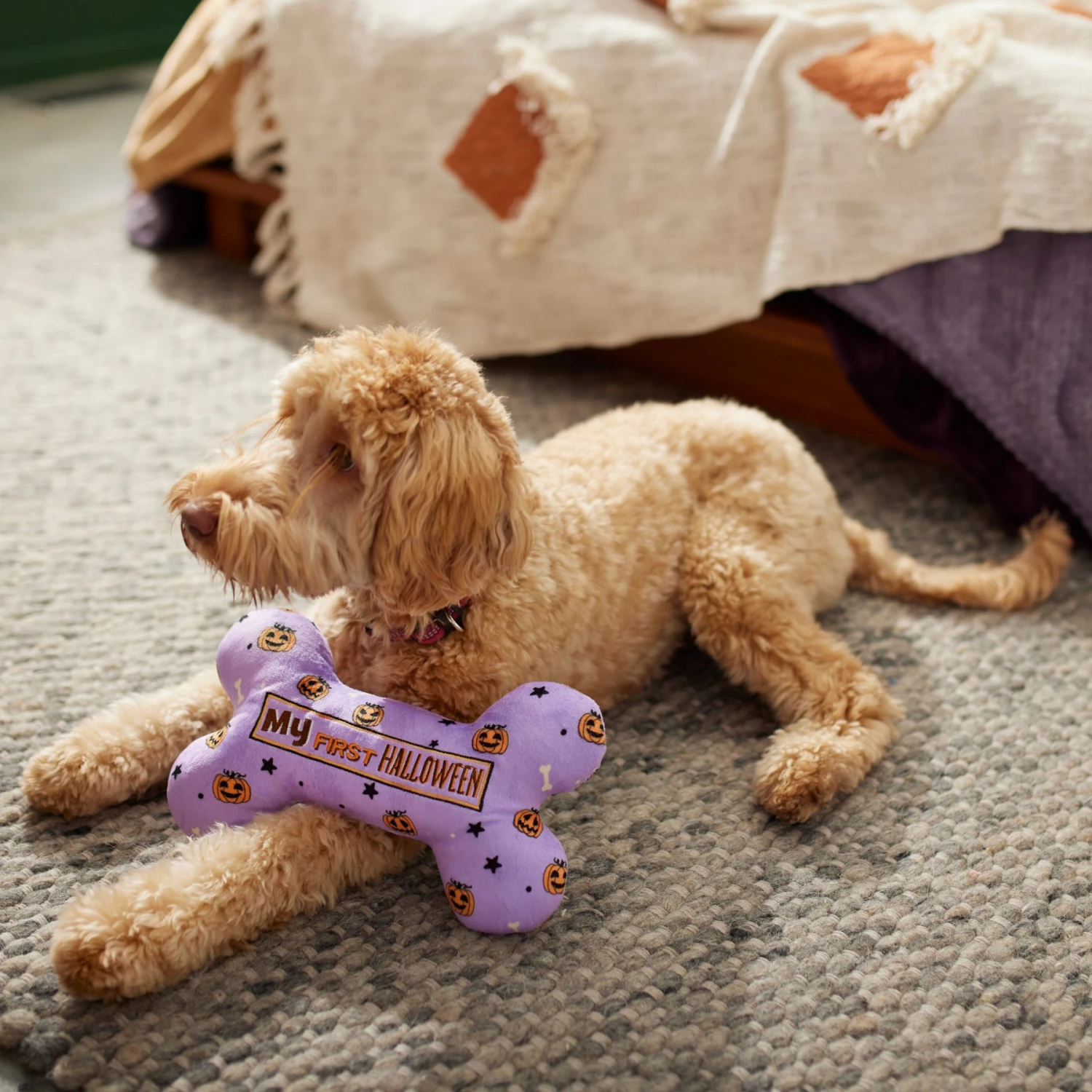 Frisco Halloween My First Halloween Bone Reversible Plush Squeaky Dog Toy 6 Frisco Halloween My First Halloween Bone Reversible Plush Squeaky Dog Toy - Image 4