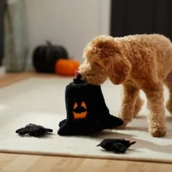 Frisco Halloween Haunted Tree Hide & Seek Puzzle Plush Squeaky Dog Toy 11 Frisco Halloween Haunted Tree Hide & Seek Puzzle Plush Squeaky Dog Toy -Chewy 270488 PT3. AC SS1800 V1624817078