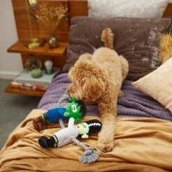 Frisco Halloween Frankenstein & Bride Plush With Rope Squeaky Dog Toy 9 Frisco Halloween Frankenstein & Bride Plush With Rope Squeaky Dog Toy -Chewy 270496 PT3. AC SS1800 V1624824775