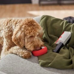 Frisco Halloween Vampire Teeth & Knife Latex Squeaky Dog Toy -Chewy 270512 PT3. AC SS1800 V1624817093