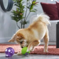 Frisco Halloween Sugar Skulls Latex Squeaky Dog Toy -Chewy 270518 PT3. AC SS1800 V1689878507