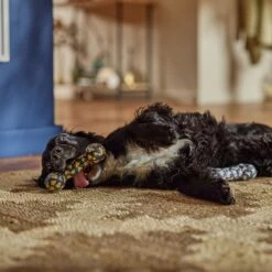 Frisco Halloween Candy Corn & Ghosts TPR Bone Squeaky Dog Toy, 2 Count -Chewy 270529 PT3. AC SS1800 V1689876508