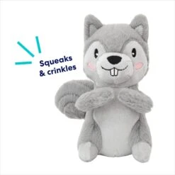 Frisco Camping Squirrel Plush Squeaky Dog Toy -Chewy 271001 PT2. AC SS1800 V1686579152