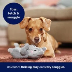 Frisco Camping Squirrel Plush Squeaky Dog Toy -Chewy 271001 PT5. AC SS1800 V1691785245