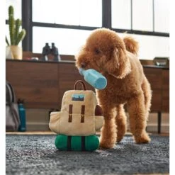 Frisco Camping Backpack Plush Squeaky Dog Toy -Chewy 271005 PT3. AC SS1800 V1625009263