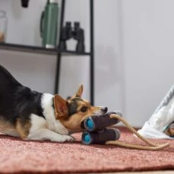 Frisco Camping Binoculars Plush With Rope Squeaky Dog Toy -Chewy 271009 PT3. AC SS1800 V1625009167