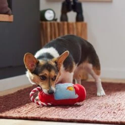 Frisco Camping Lantern Plush With Rope Squeaky Dog Toy 7 Frisco Camping Lantern Plush With Rope Squeaky Dog Toy -Chewy 271013 PT3. AC SS1800 V1625160766