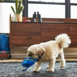 Frisco Camping Canteen Plush With Rope Squeaky Dog Toy -Chewy 271022 PT3. AC SS1800 V1625009237