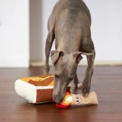 Frisco Camping Match Box 2-in-1 Plush Squeaky Dog Toy -Chewy 271029 PT3. AC SS1800 V1625008996