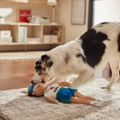 Frisco Gym Teacher Plush Squeaky Dog Toy 7 Frisco Gym Teacher Plush Squeaky Dog Toy -Chewy 279447 PT3. AC SS1800 V1628191161