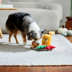 Frisco Fall Festive Candle Charger Plush Squeaky Dog Toy, 4 Count 7 Frisco Fall Festive Candle Charger Plush Squeaky Dog Toy, 4 Count -Chewy 285615 PT3. AC SS1800 V1629725135