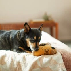 Frisco Fall Boot Plush Squeaky Dog Toy -Chewy 285619 PT3. AC SS1800 V1629724969