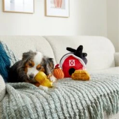 Frisco Fall Farmhouse Hide & Seek Puzzle Plush Squeaky Dog Toy 9 Frisco Fall Farmhouse Hide & Seek Puzzle Plush Squeaky Dog Toy -Chewy 285629 PT3. AC SS1800 V1629725107
