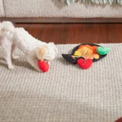 Frisco Fall Autumn Tree With Apples Interactive Plush Squeaky Dog Toy, 4 Count -Chewy 285633 PT3. AC SS1800 V1629725360