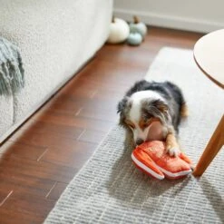 Frisco Fall Sweater Weather Flat Plush Squeaky Dog Toy 7 Frisco Fall Sweater Weather Flat Plush Squeaky Dog Toy -Chewy 285635 PT3. AC SS1800 V1629725212