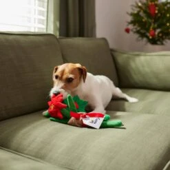 Frisco Flower Bouquet Plush Squeaky Dog Toy -Chewy 287163 PT3. AC SS1800 V1632776821