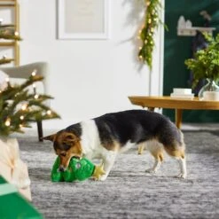 Frisco Holiday Tree Thin Plush Squeaky Dog Toy -Chewy 287167 PT3. AC SS1800 V1632773873