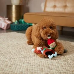 Frisco Holiday Carolers Plush Squeaky Dog Toy, 3 Count -Chewy 287169 PT3. AC SS1800 V1632774907