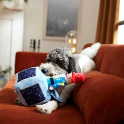 Frisco Nutcracker-in-a-Box Plush Squeaky Dog Toy 9 Frisco Nutcracker-in-a-Box Plush Squeaky Dog Toy -Chewy 287173 PT3. AC SS1800 V1632773316