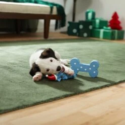 Frisco Blue Bundle Latex Squeaky Puppy Toy, 2 Count -Chewy 287185 PT3. AC SS1800 V1632775643