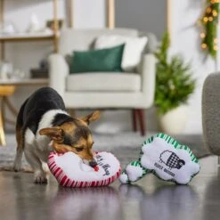 Frisco Holiday Thought Bubble Plush Squeaky Dog Toy, 2 Count -Chewy 287195 PT3. AC SS1800 V1632772983