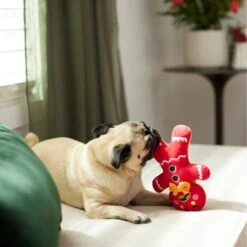 Frisco Holiday Naughty Or Nice Gingerbread Man Reversible Plush Squeaky Dog Toy -Chewy 287217 PT3. AC SS1800 V1632775304