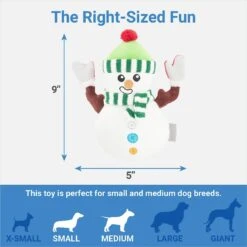 Frisco Holiday Naughty Or Nice Snowman Reversible Plush Squeaky Dog Toy 8 Frisco Holiday Naughty Or Nice Snowman Reversible Plush Squeaky Dog Toy -Chewy 287219 PT2. AC SS1800 V1637704003