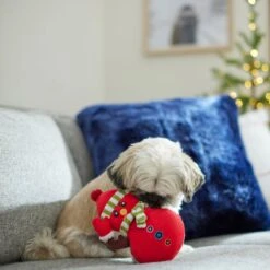 Frisco Holiday Naughty Or Nice Snowman Reversible Plush Squeaky Dog Toy 9 Frisco Holiday Naughty Or Nice Snowman Reversible Plush Squeaky Dog Toy -Chewy 287219 PT3. AC SS1800 V1632774615
