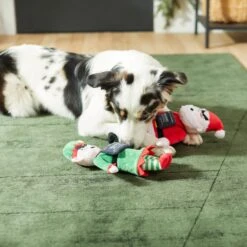 Frisco Holiday Bad Santa & Elf Plush Squeaky Dog Toy 7 Frisco Holiday Bad Santa & Elf Plush Squeaky Dog Toy -Chewy 287223 PT3. AC SS1800 V1632773570