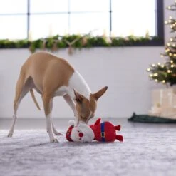 Frisco Holiday Santa & Snowman Reversible Plush Squeaky Dog Toy 11 Frisco Holiday Santa & Snowman Reversible Plush Squeaky Dog Toy -Chewy 287263 PT3. AC SS1800 V1632775712