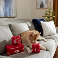 Frisco Holiday 12 Day Countdown Blocks Plush Squeaky Dog Toy, 3 Count 7 Frisco Holiday 12 Day Countdown Blocks Plush Squeaky Dog Toy, 3 Count -Chewy 287447 PT3. AC SS1800 V1632774583