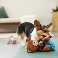 Frisco Yoga Bear Plush Squeaky Dog Toy 7 Frisco Yoga Bear Plush Squeaky Dog Toy -Chewy 288903 PT3. AC SS1800 V1638288516