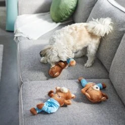 Frisco New Year, New Me Namaste Bear Plush Squeaky Dog Toy -Chewy 288905 PT3. AC SS1800 V1638291398