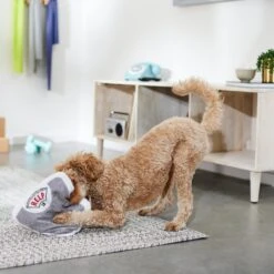 Frisco Scale Plush Squeaky Dog Toy 7 Frisco Scale Plush Squeaky Dog Toy -Chewy 288911 PT3. AC SS1800 V1638289585