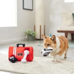 Frisco Gym Bag Hide & Seek Puzzle Plush Squeaky Dog Toy -Chewy 288913 PT3. AC SS1800 V1638289728