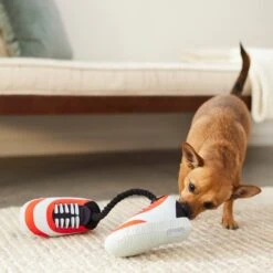 Frisco Running Shoes Plush With Rope Dog Toy -Chewy 288915 PT3. AC SS1800 V1638292478