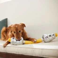 Frisco Weight Bar Wagazoo Plush Squeaky Dog Toy 7 Frisco Weight Bar Wagazoo Plush Squeaky Dog Toy -Chewy 288917 PT3. AC SS1800 V1638292413