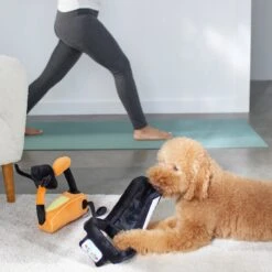 Frisco Treadmill & Bike Plush Squeaky Dog Toy, 2 Count -Chewy 288921 PT3. AC SS1800 V1638290517