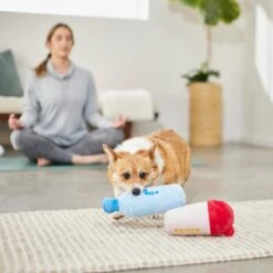 Frisco Protein & Water Bottle Cruncher Dog Toy 7 Frisco Protein & Water Bottle Cruncher Dog Toy -Chewy 288927 PT3. AC SS1800 V1638291847